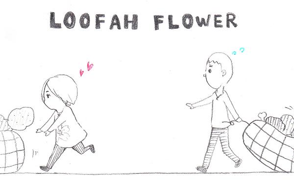 LOOFAH FLOWER (by )