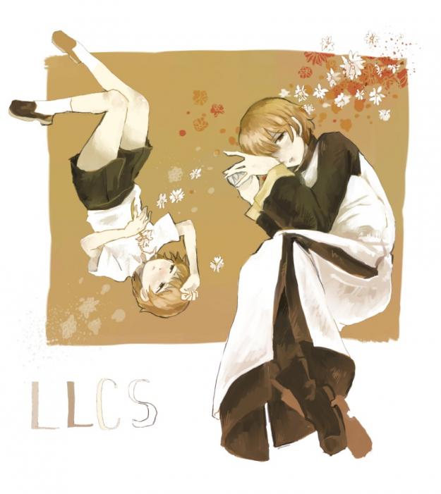 LLCS FA (by )